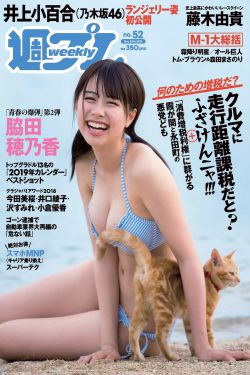 猫的报恩